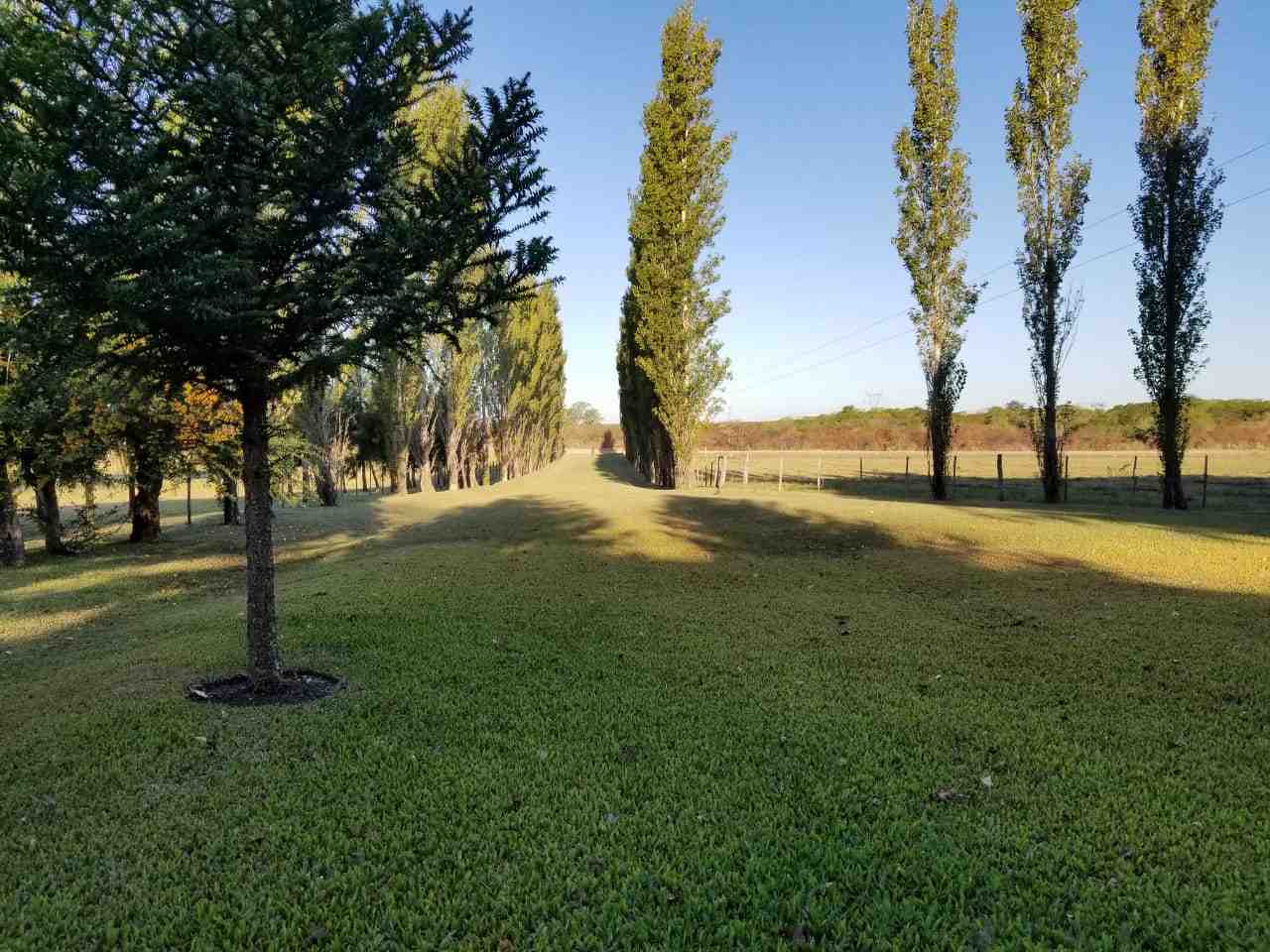 Campo de 100 hectáreas a la venta - Concepcion del Uruguay